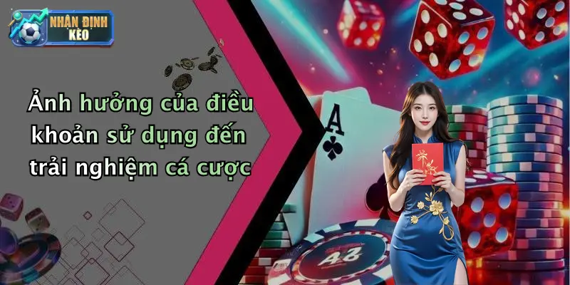 Ảnh hưởng của điều khoản sử dụng đến trải nghiệm cá cược