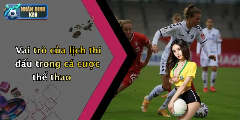 Vai trò của lịch thi đấu trong cá cược thể thao