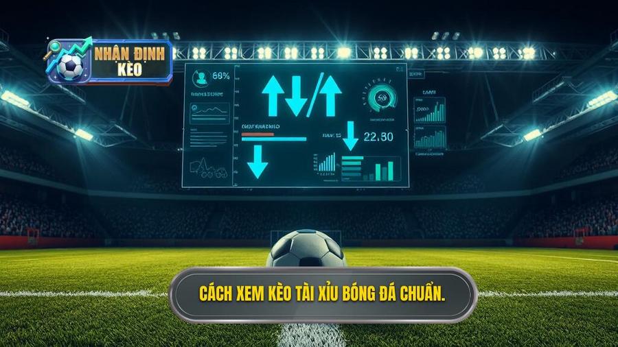 1. Cách xem kèo tài xỉu bóng đá chuẩn.
