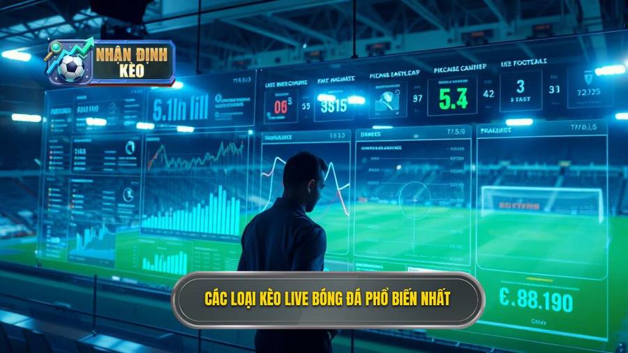 2. Các loại kèo live bóng đá phổ biến nhất
