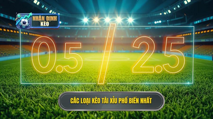 2. Các loại kèo tài xỉu phổ biến nhất