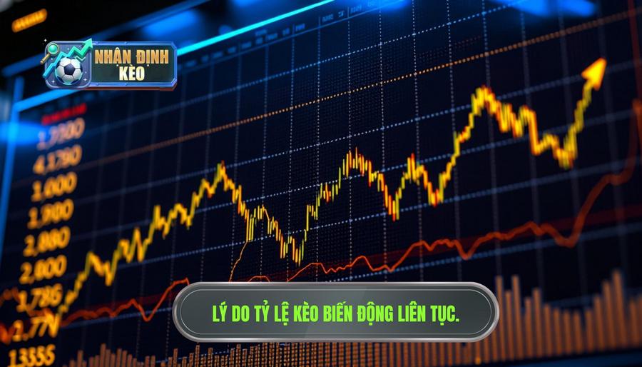 Tại sao kèo thay đổi từng giờ? Hiểu rõ bản chất vấn đề