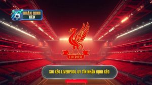 Soi Kèo Liverpool Hôm Nay: Nhận Định Chuyên Gia Chuẩn 99%